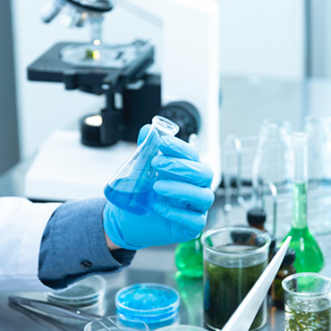Formel Labs Pvt Ltd